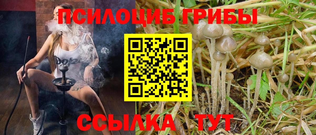 Галлюциногенные грибы Cubensis Белгород