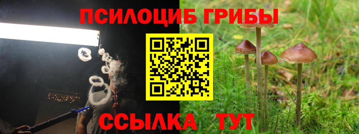 Галлюциногенные грибы мицелий  Вход с VPN  Белгород  Псилоцибиновые грибы мухоморы 